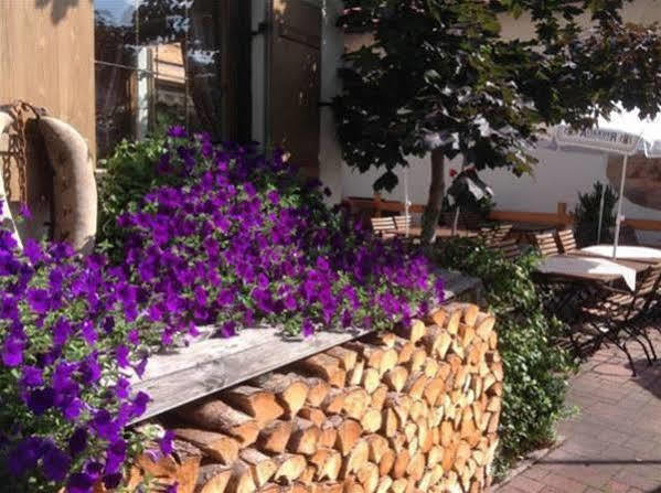 Hotel Restaurant Fruehlingsgarten Füssen Eksteriør bilde